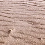 بيت ضيافة La Costa فلوميني دي كوارتو