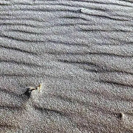 La Costa بيت ضيافة فلوميني دي كوارتو
