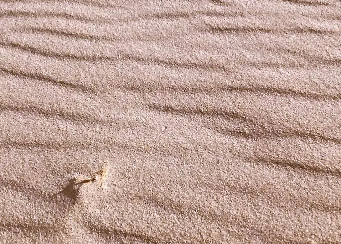 Gæstehus La Costa Flumini di Quartu